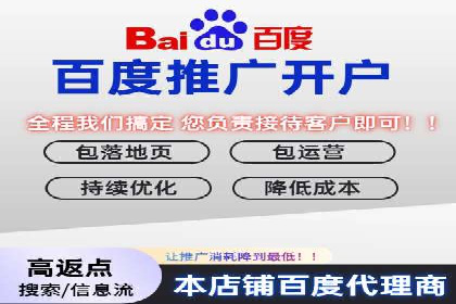 行业领先企业的SEM代理案例剖析